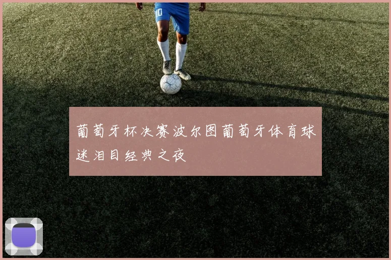 葡萄牙杯决赛波尔图葡萄牙体育球迷泪目经典之夜