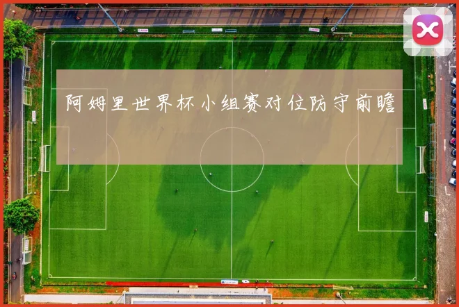 阿姆里世界杯小组赛对位防守前瞻