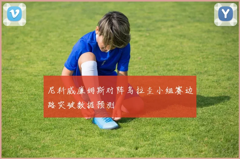 尼科威廉姆斯对阵乌拉圭小组赛边路突破数据预测