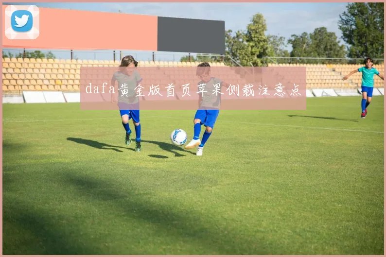 dafa黄金版首页苹果侧载注意点