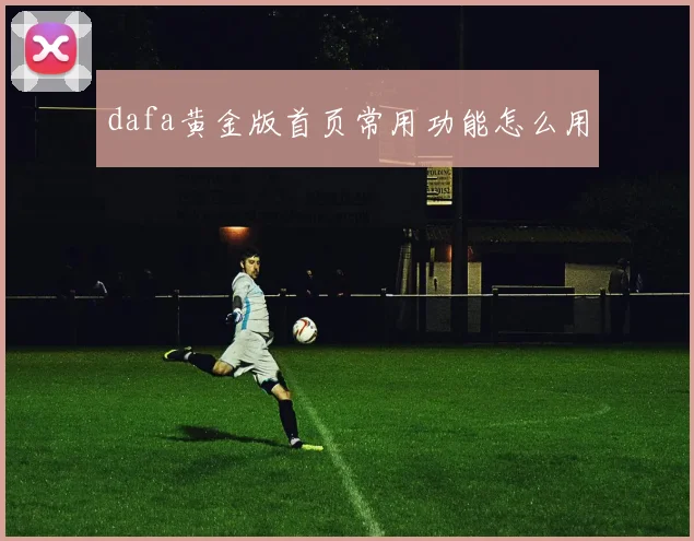 dafa黄金版首页常用功能怎么用