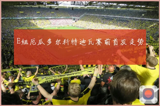 E组厄瓜多尔科特迪瓦赛前首发走势