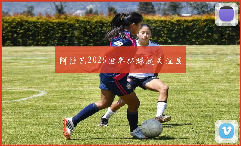 阿拉巴2026世界杯球迷关注度