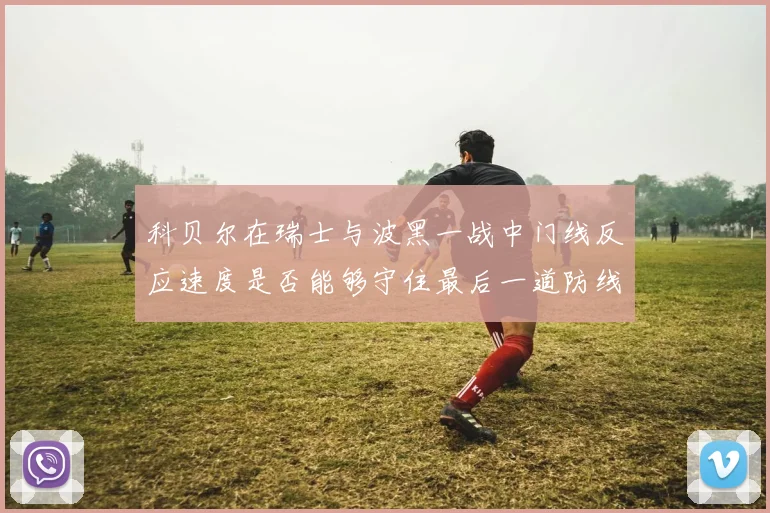 科贝尔在瑞士与波黑一战中门线反应速度是否能够守住最后一道防线