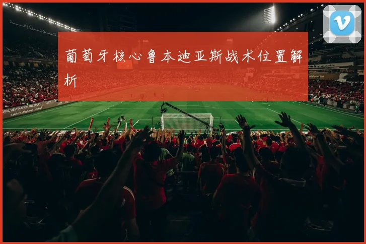 葡萄牙核心鲁本迪亚斯战术位置解析