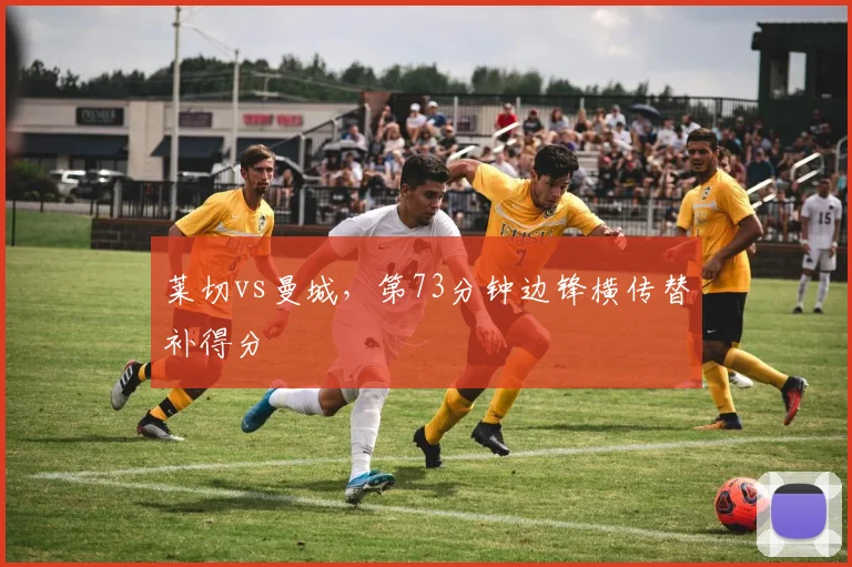 莱切vs曼城，第73分钟边锋横传替补得分