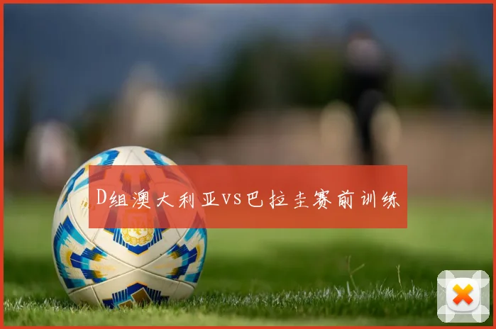 D组澳大利亚vs巴拉圭赛前训练